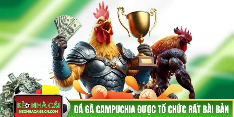 Đá Gà Campuchia - Kịch Tính Cùng Các Pha Ra Đòn Của Chiến Kê 2 Các sới đá gà Campuchia được tổ chức rất bài bản