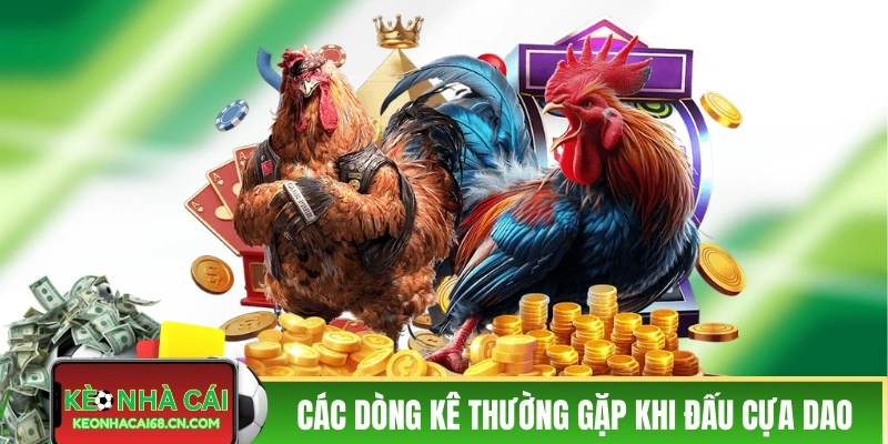 Đá Gà Cửa Giao Trực Tiếp - Nín Thở Với Các Màn Đấu Nảy Lửa 5 Các dòng kê thường gặp khi đấu cựa dao