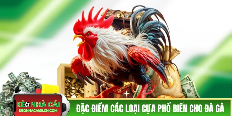 Đá Gà Cửa Giao Trực Tiếp - Nín Thở Với Các Màn Đấu Nảy Lửa 3 Đặc điểm của các loại cựa phổ biến cho đá gà