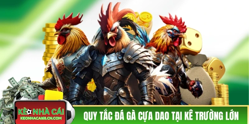 Đá Gà Cửa Giao Trực Tiếp - Nín Thở Với Các Màn Đấu Nảy Lửa 4 Quy tắc đá gà cựa dao tại các kê trường lớn