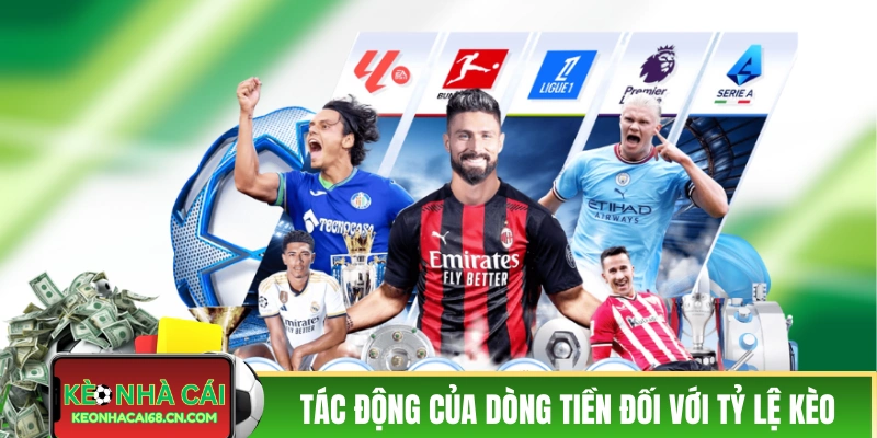 Tác động của dòng tiền đối với tỷ lệ kèo