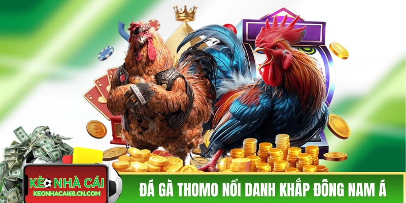 Trực Tiếp Đá Gà Thomo: Sân Chơi Của Chiến Kê Tài Năng 2 Trực tiếp đá gà Thomo nổi danh khắp Đông Nam Á